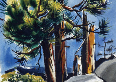 art_eba_watr_tahoe-pines-53_923x1225